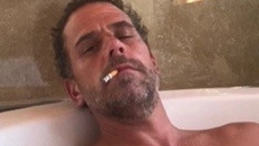 An Iowa Woman Got 1 Year in Jail Plus Probation for Lying On a 4473…What About Hunter Biden?