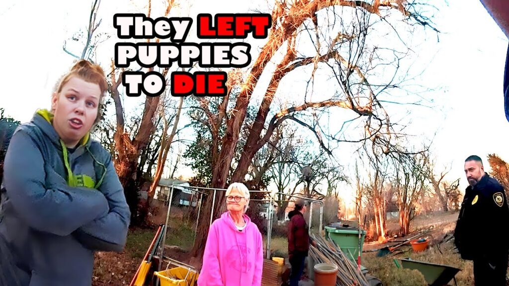 Cops Discover Puppies Freezing to Death in Neighbor's Cage
