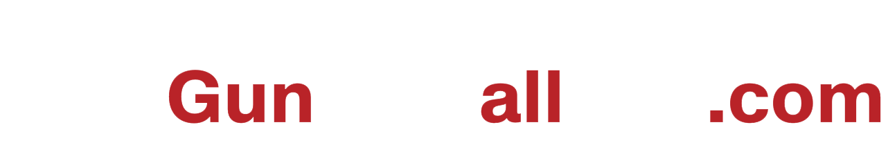 Gun USA All Day