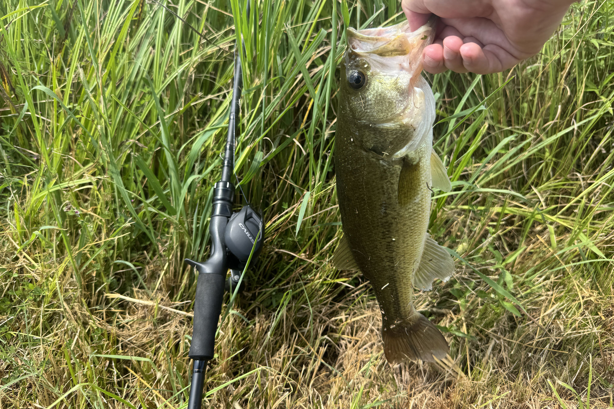 the Shimano Caius casting combo next to a big fish