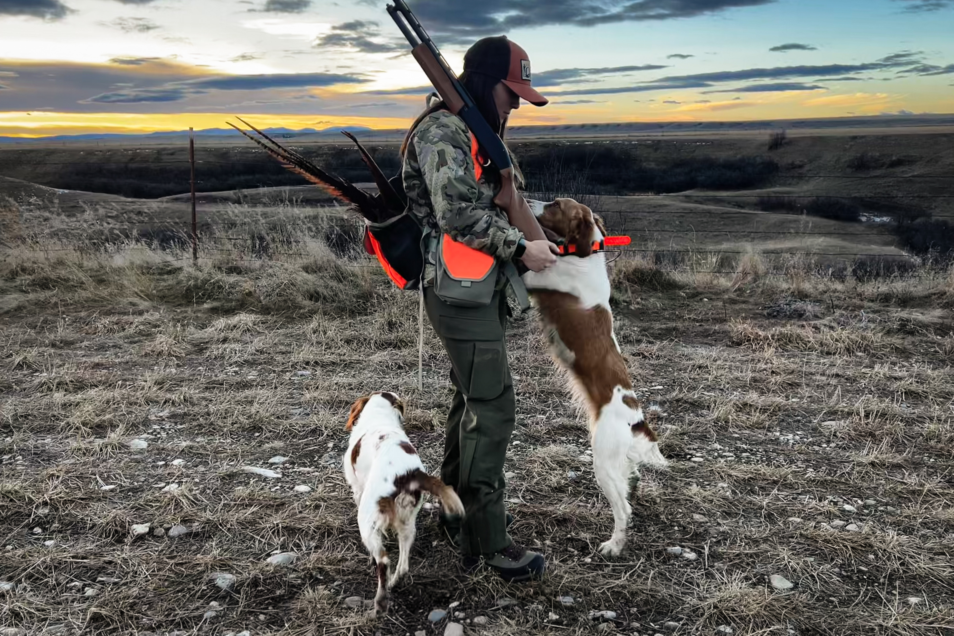 Upland Hunting