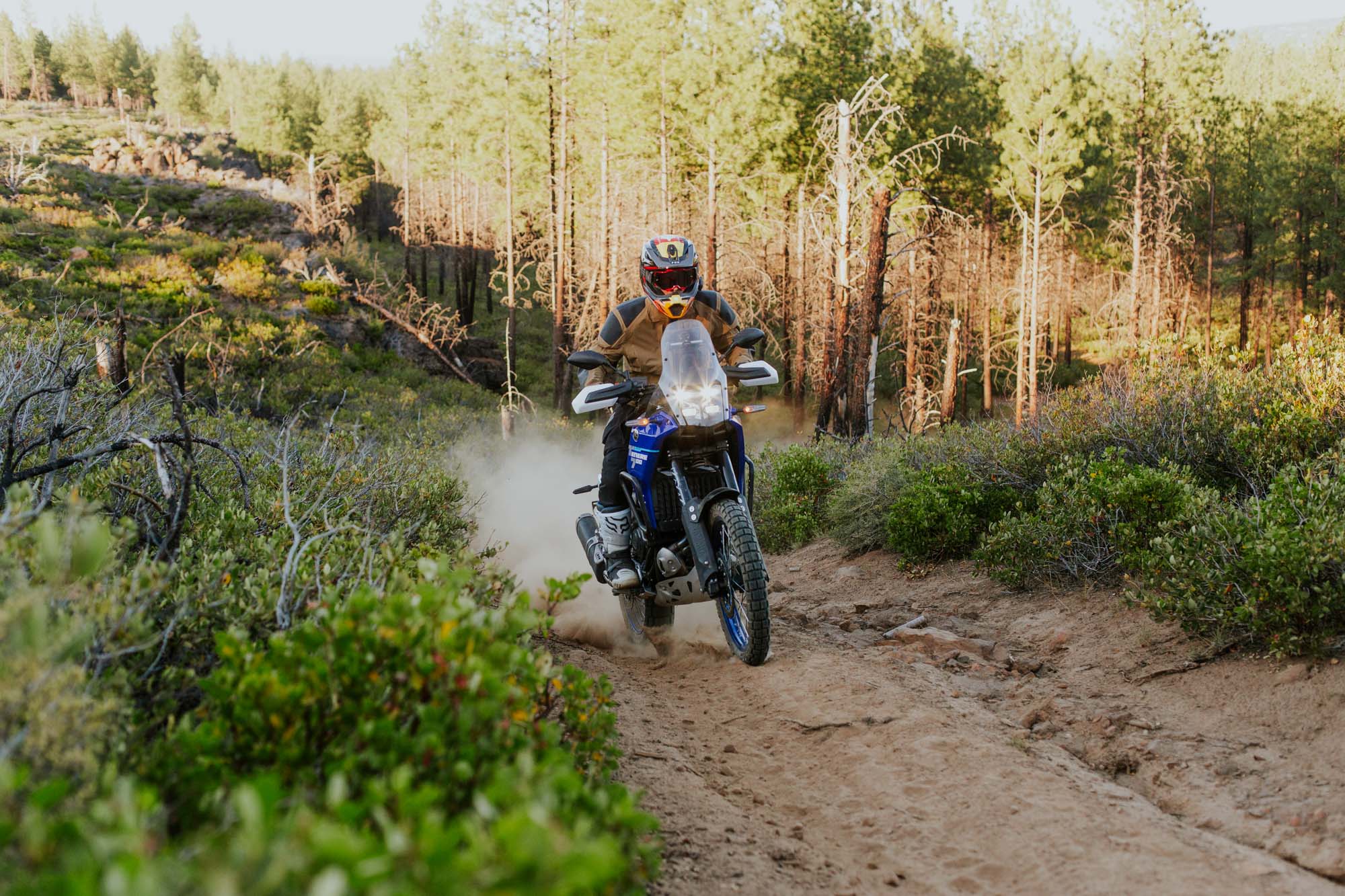 2025 Yamaha Tenere 700