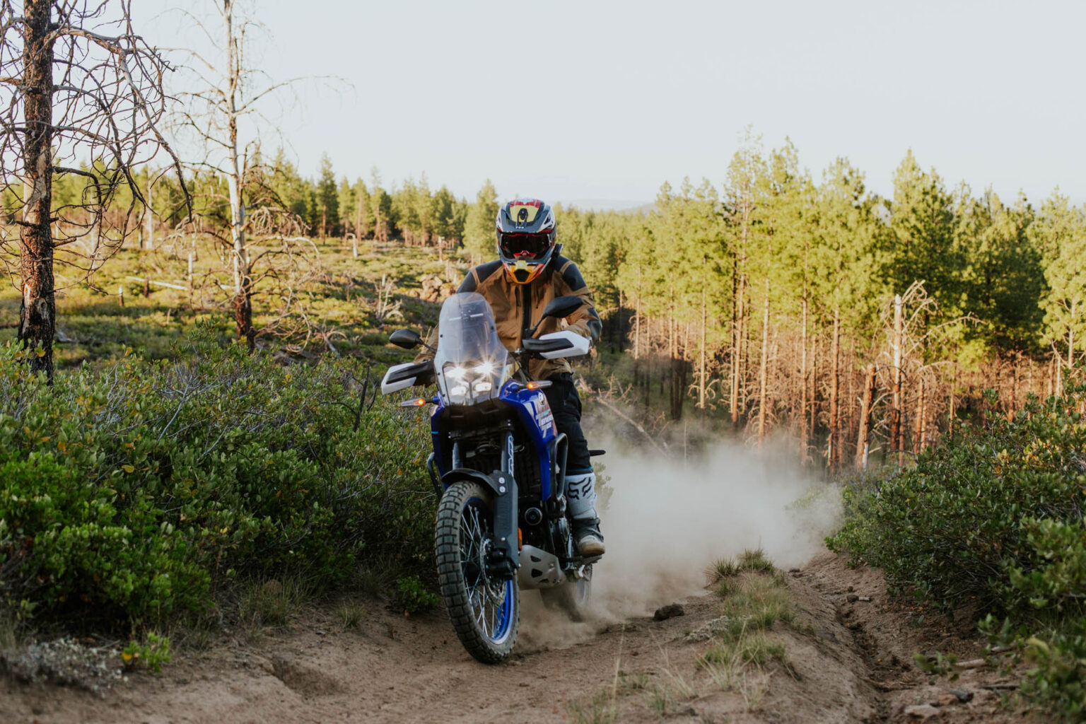 It’s So Good I’m Replacing My Dual Sport With One: 2025 Yamaha Ténéré 700 Review