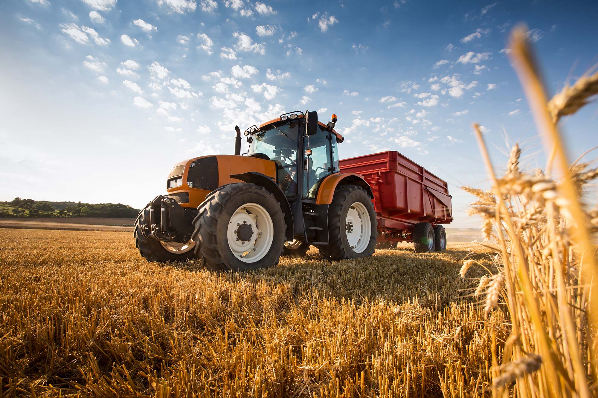 A,Tractor,During,The,Harvest