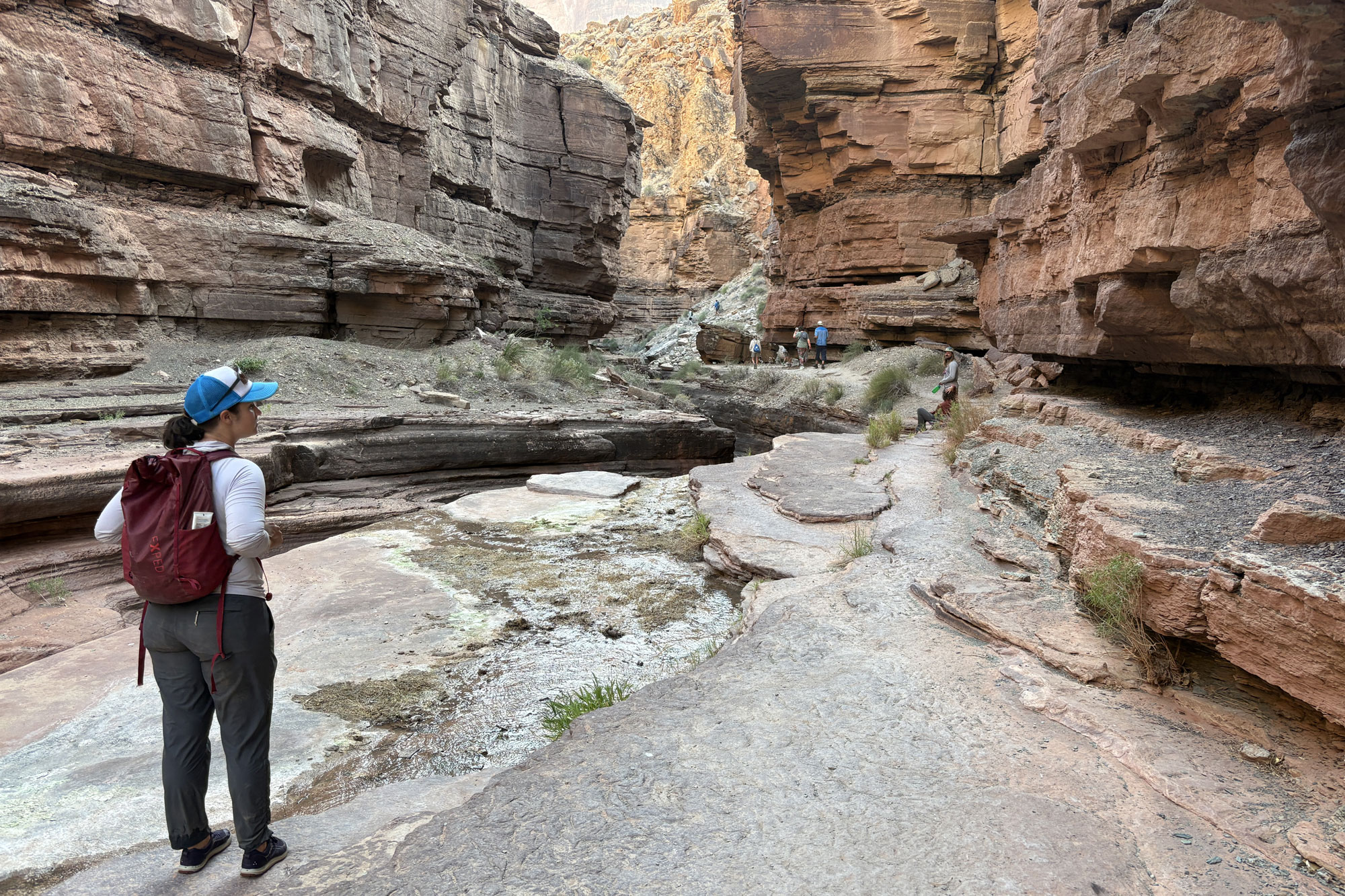a woman in the grand canyon