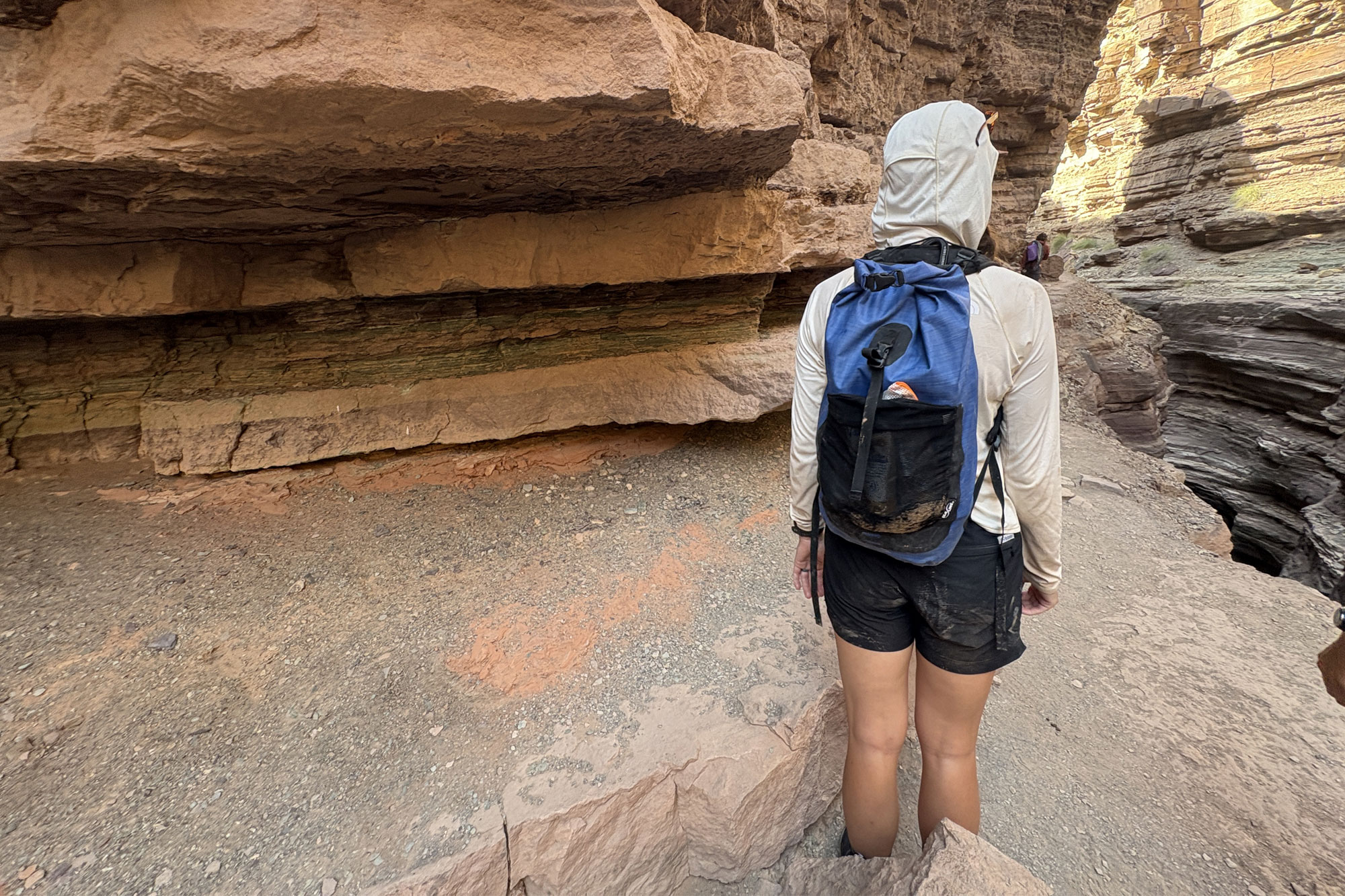 a woman standing in grand canyon