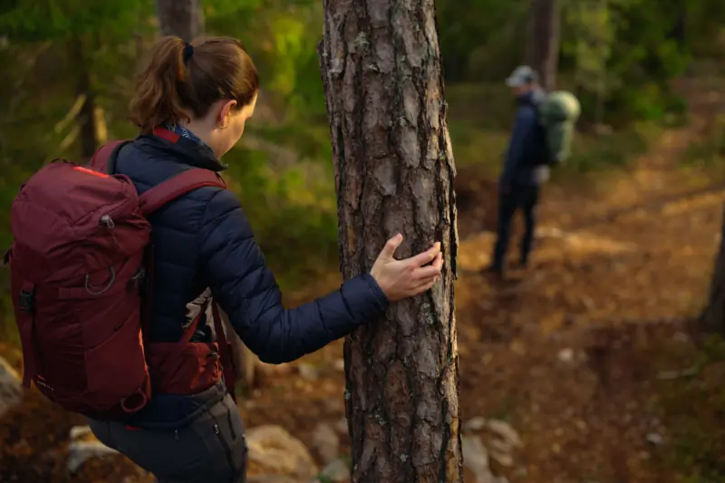 A hiker with a RECCO-equipped backpack walks through the forest
