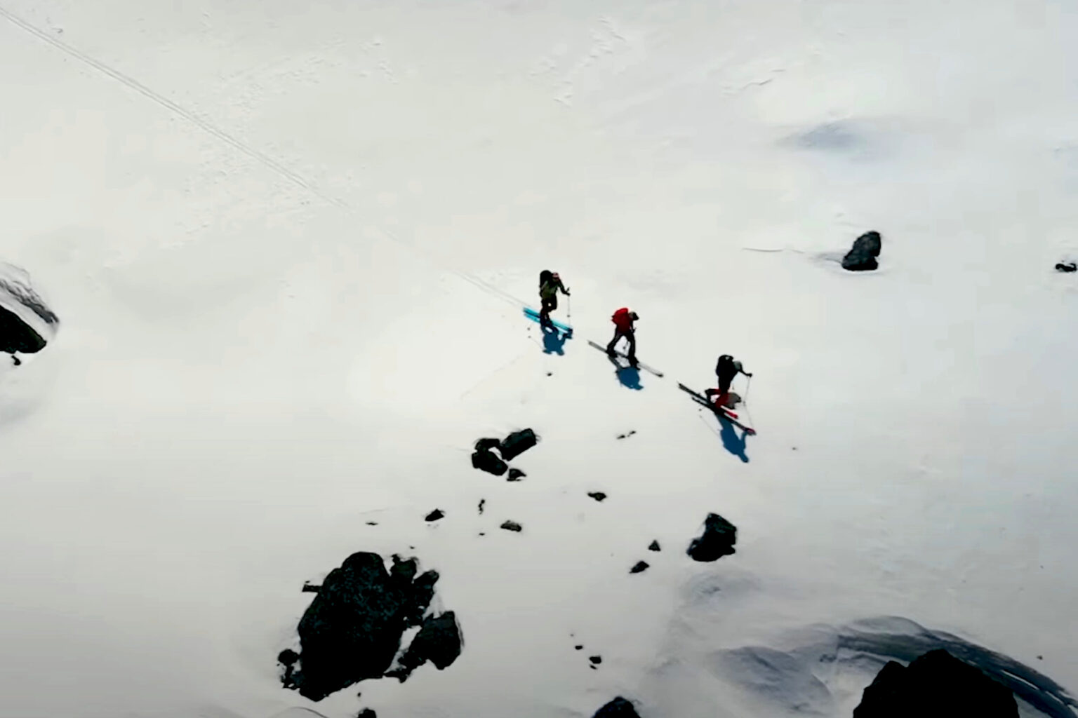 Tracking Wolverines on Skis: See How Ferocious Fur Balls Help Activists Measure Climate Change