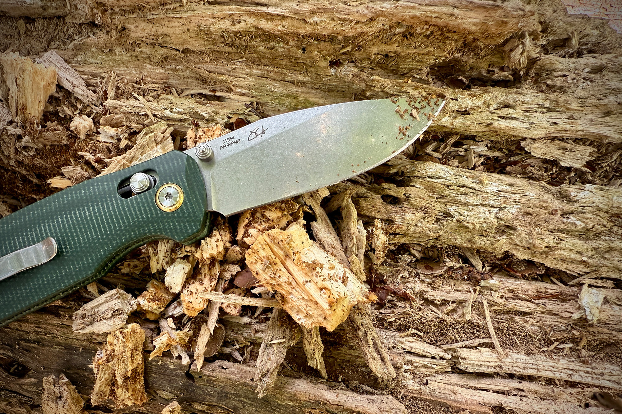 CJRB Maximal slicing into decayed wood
