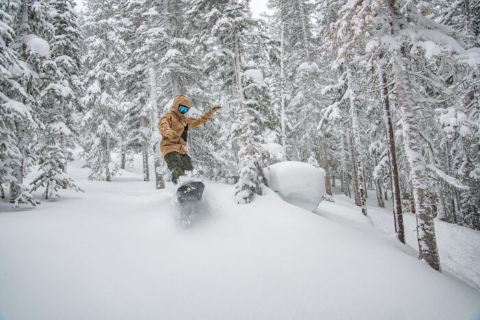 snowboarder floating on powder in the glades