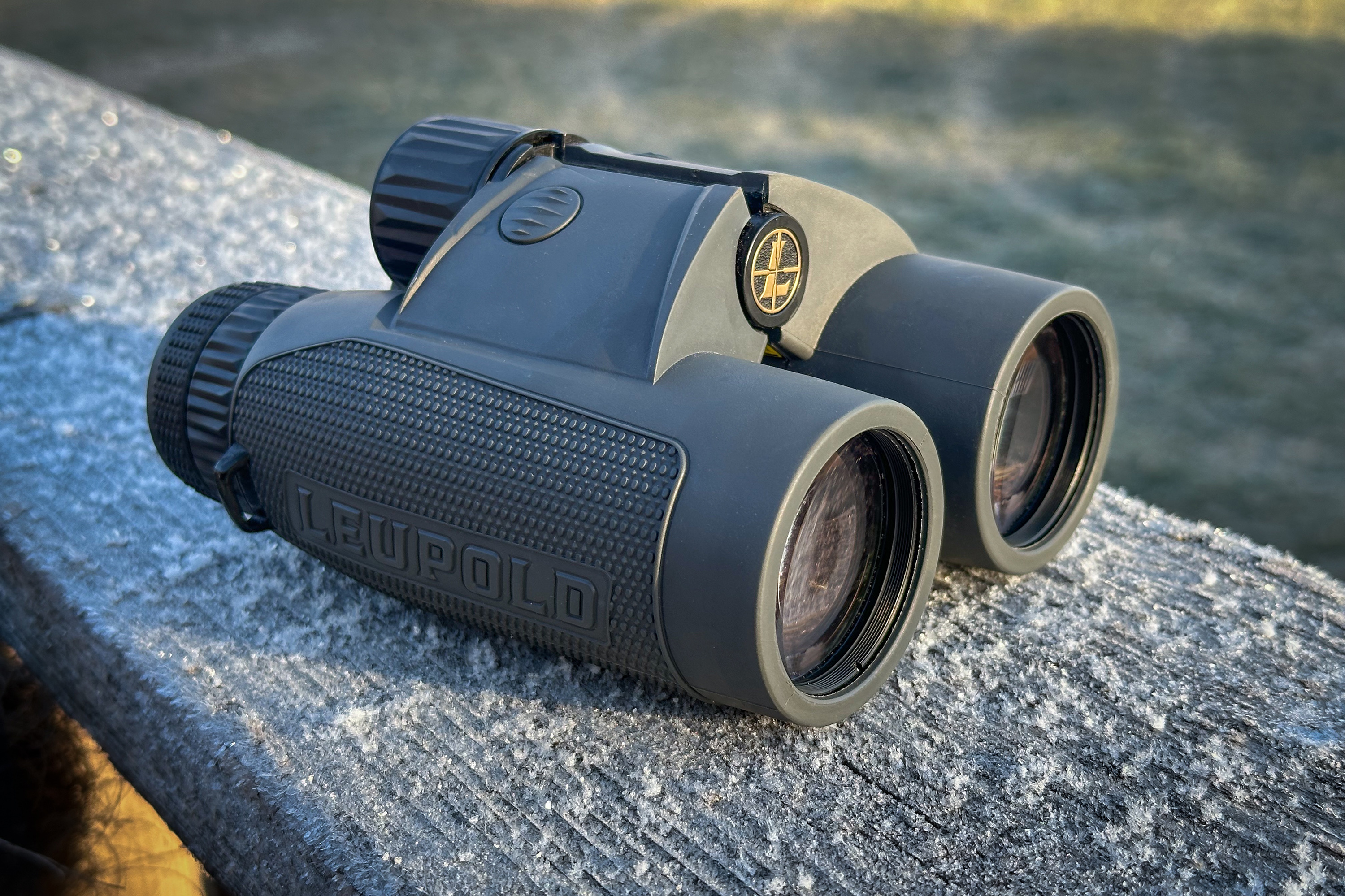 Leupold BX-4 Range HD Binoculars