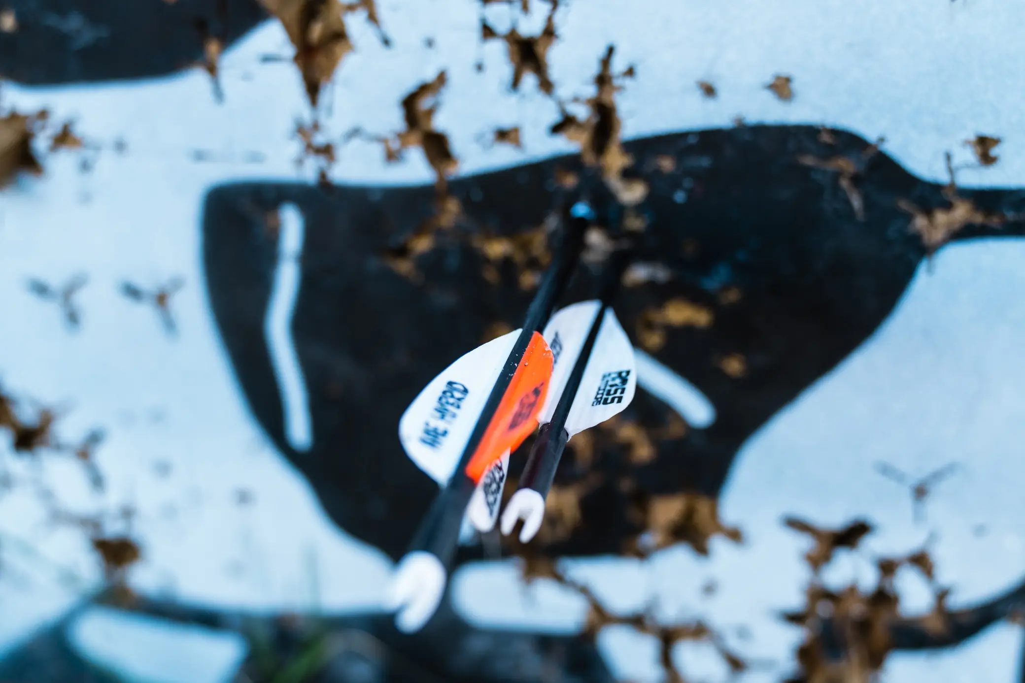 hunting arrows