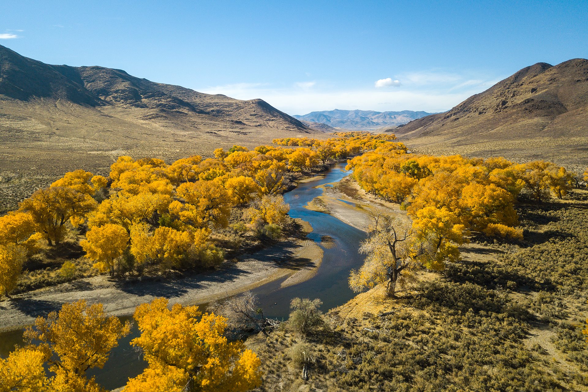 An aerial photo overlooking the East Fork of the Carson River during fall in Nevada.