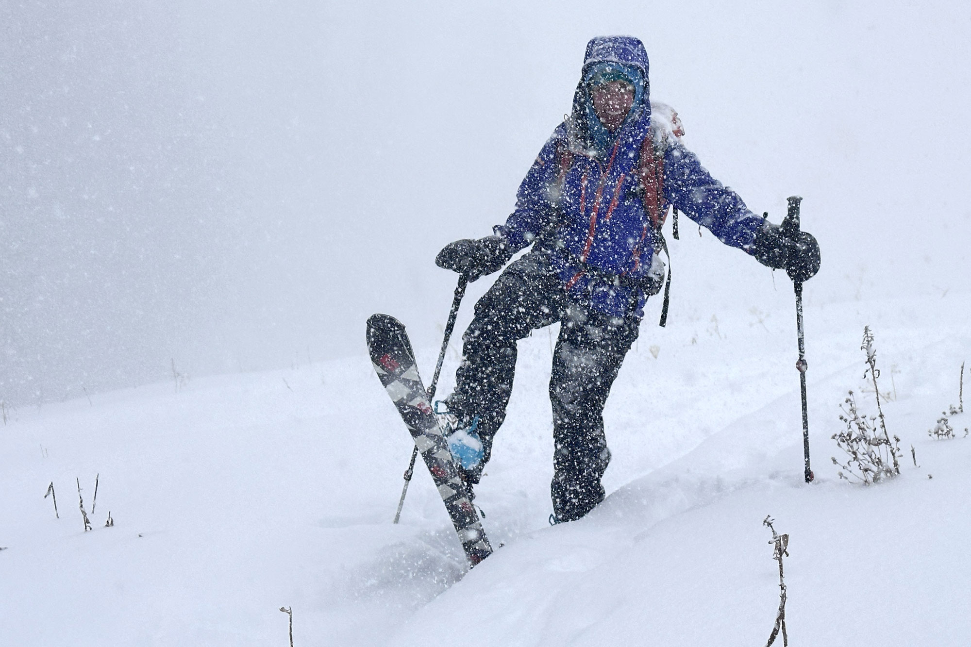 Black Diamond Helio Carbon 88 Skis on snow