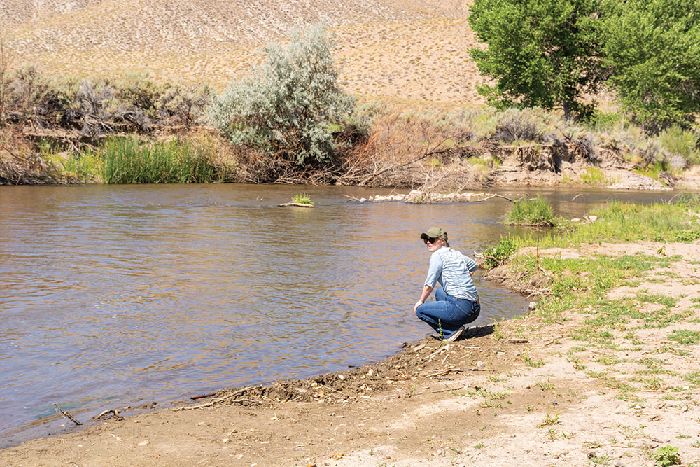 A person kneels down on the edge of Walker River in Nevada.