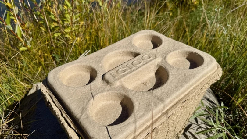 Igloo Recool Cooler