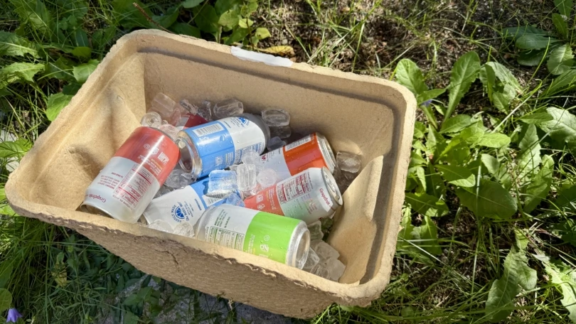 Igloo Recool Cooler