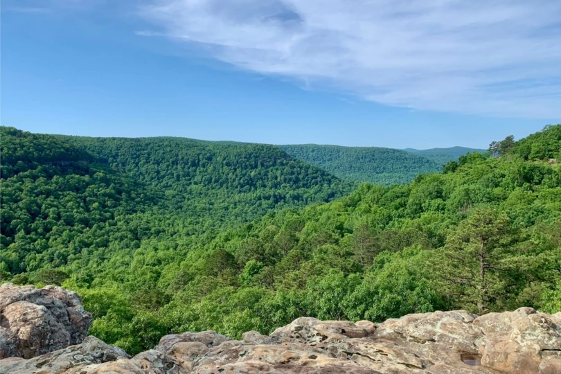 View of forest from top of rock