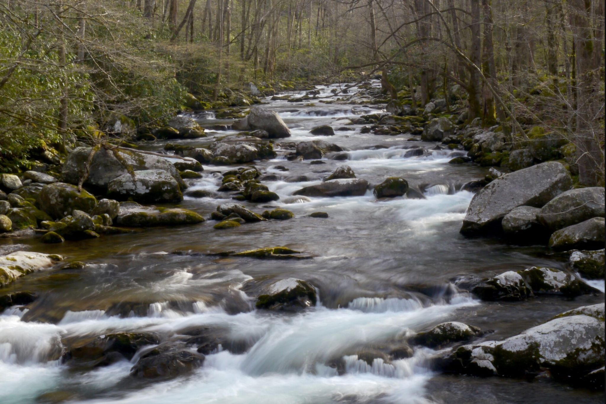 river cascades down stones in forest