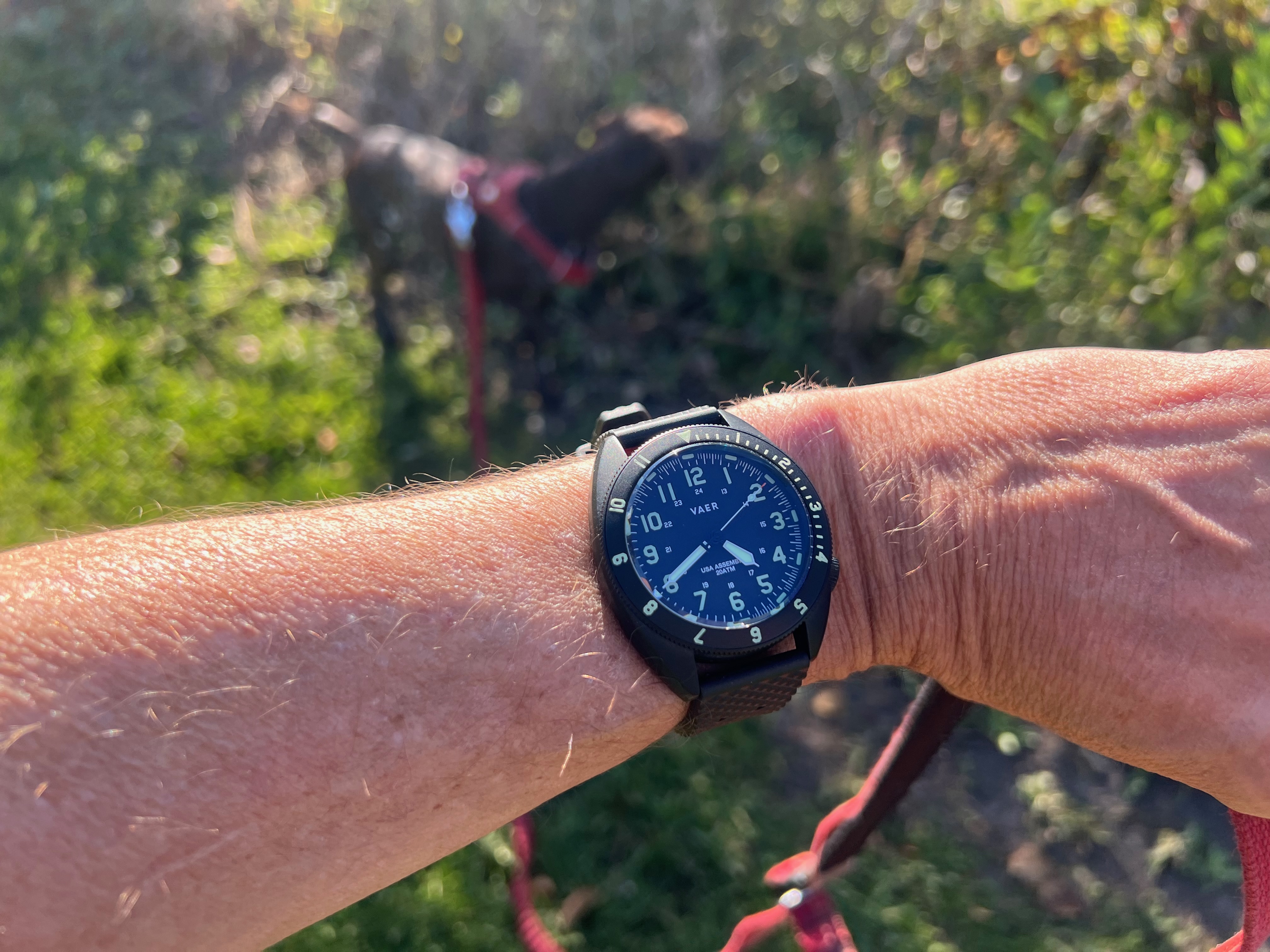 Vaer C4 tactical on wrist with a dog