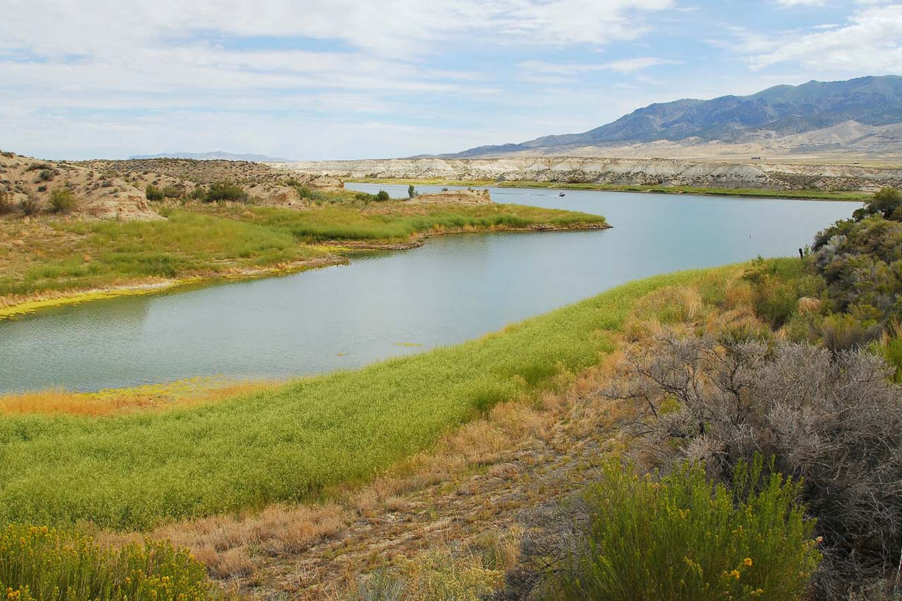 A photo overlooking a long body of water, edged with early spring grasses and a high-desert mountain range in the background. 