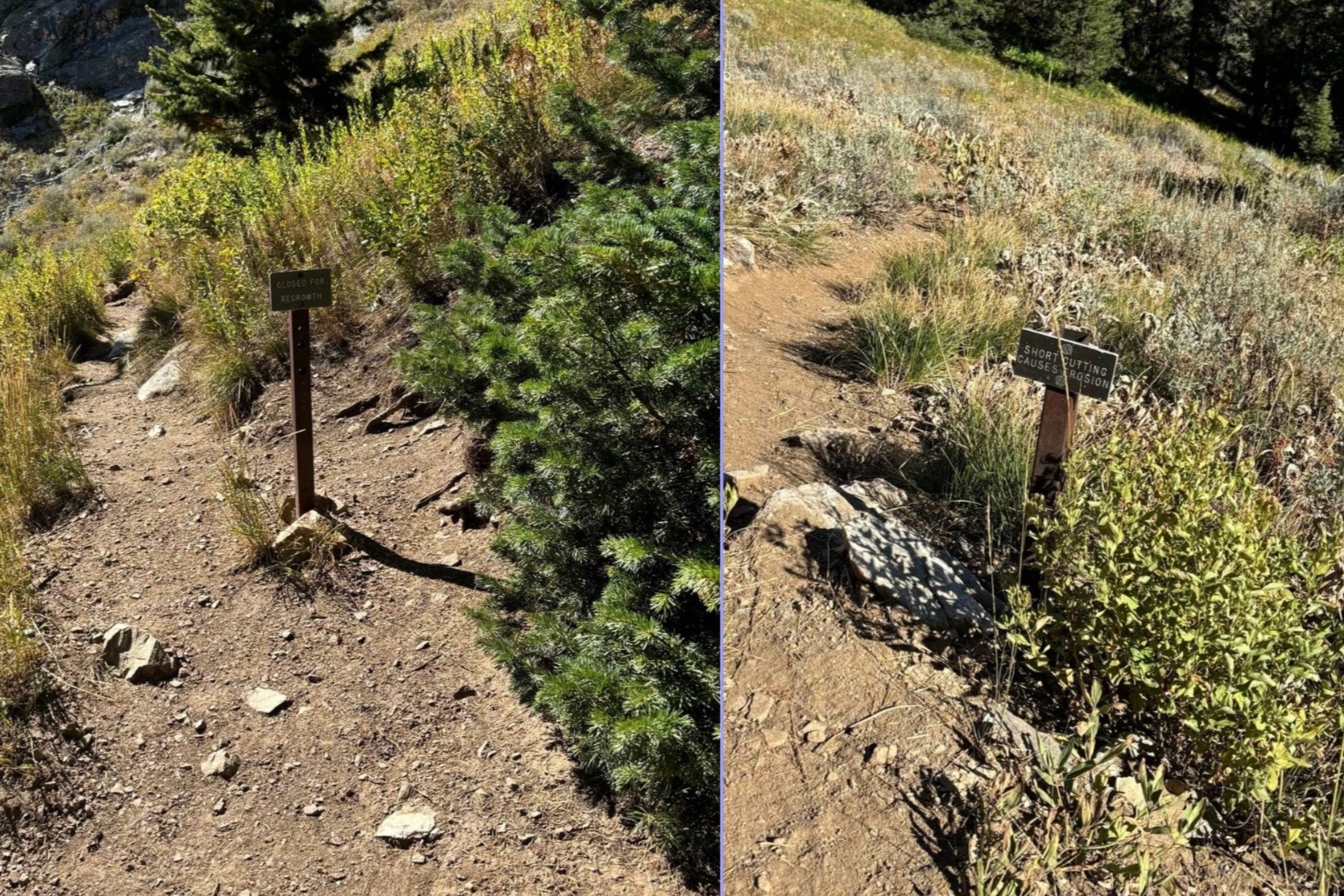 The switchback where Michelino Sunseri departed from the trail on his Grand Teton FKT attempt