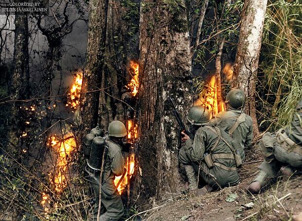 From Pearl Harbor to Japan: How 25th Infantry Division Earned its ‘Tropic Lightning’ Name in WWII