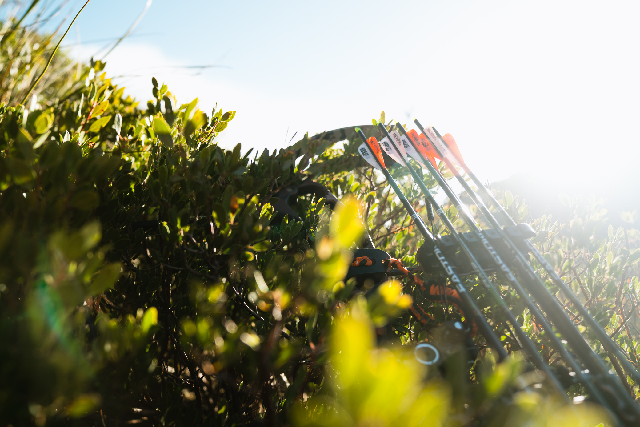 The Best Hunting Arrows of 2025