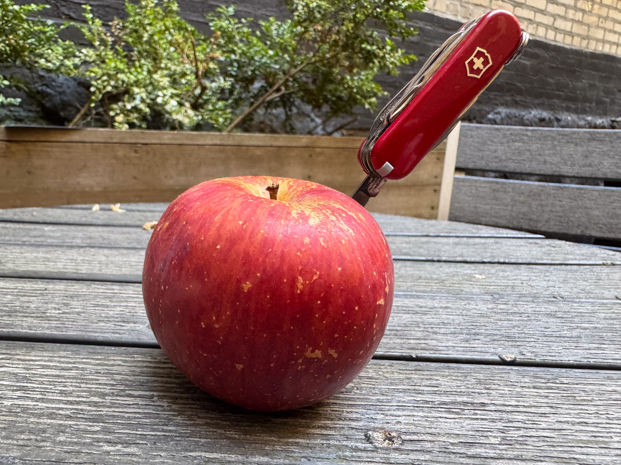 the victorinox mini champ stabbed into an apple on a table outside