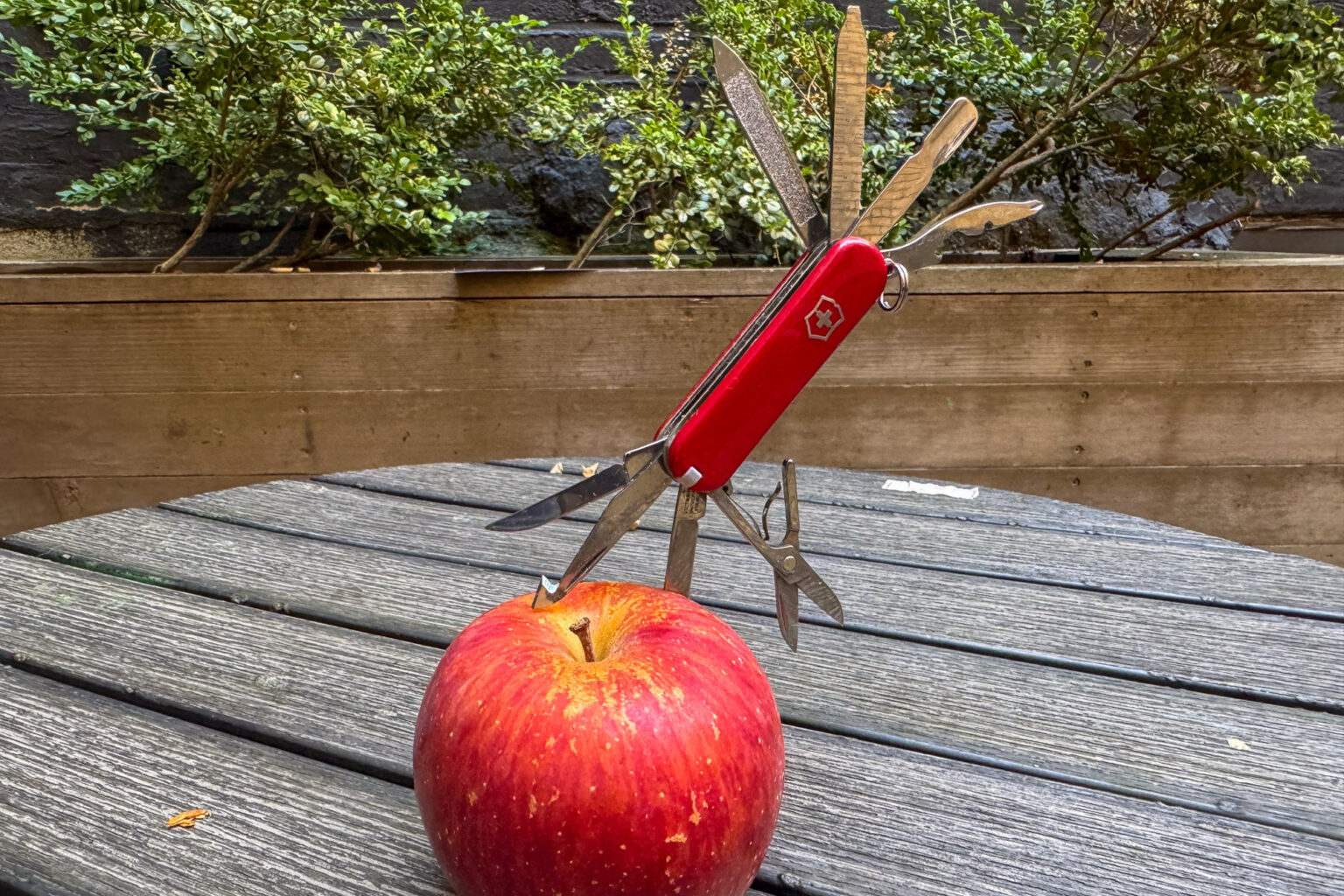 Small Enough for Your Keys, Tough Enough for Your Day: Victorinox Mini Champ Review Small Enough for Your Keys, Tough Enough for Your Day: Victorinox Mini Champ Review