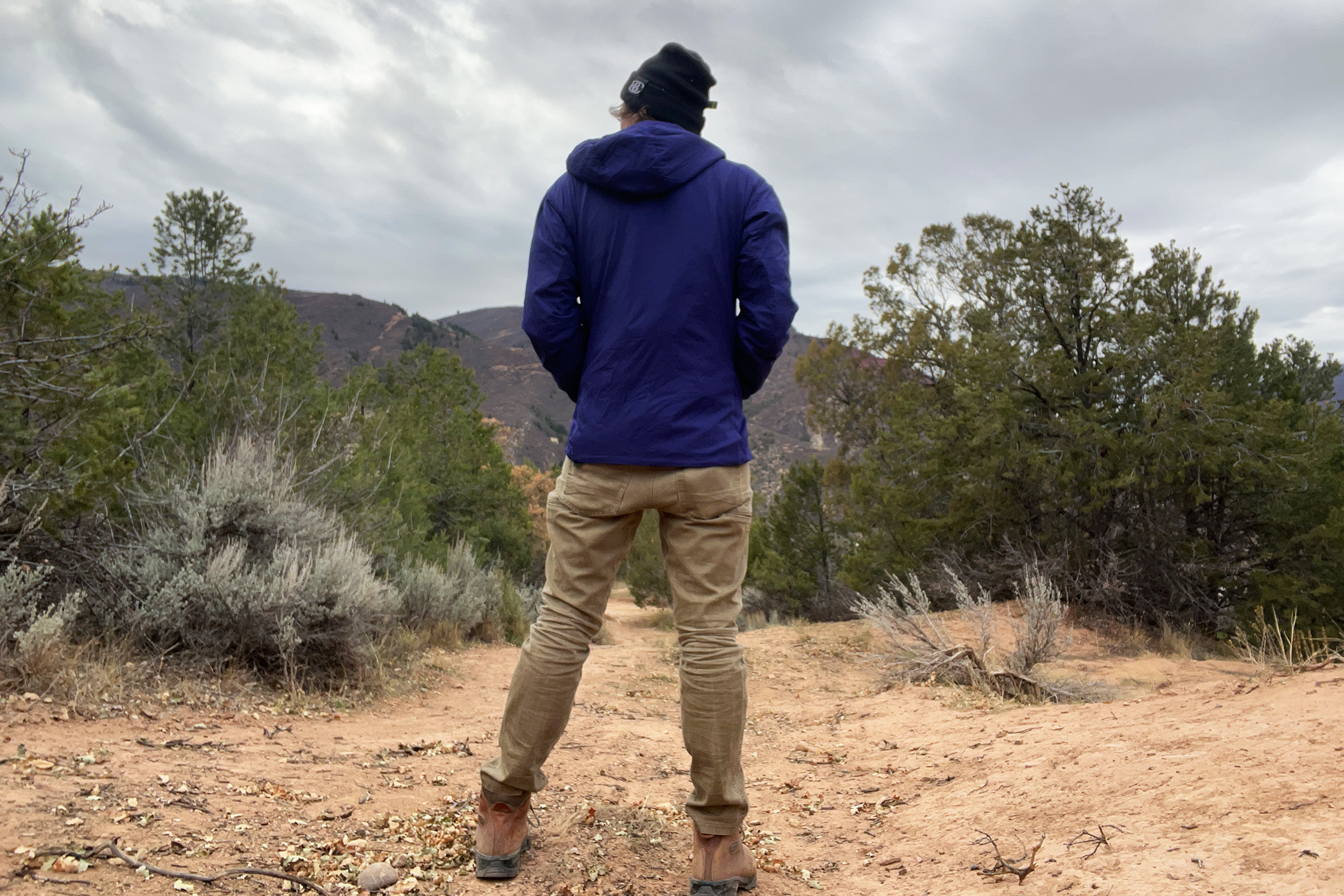Arc'teryx atom SV Hoody