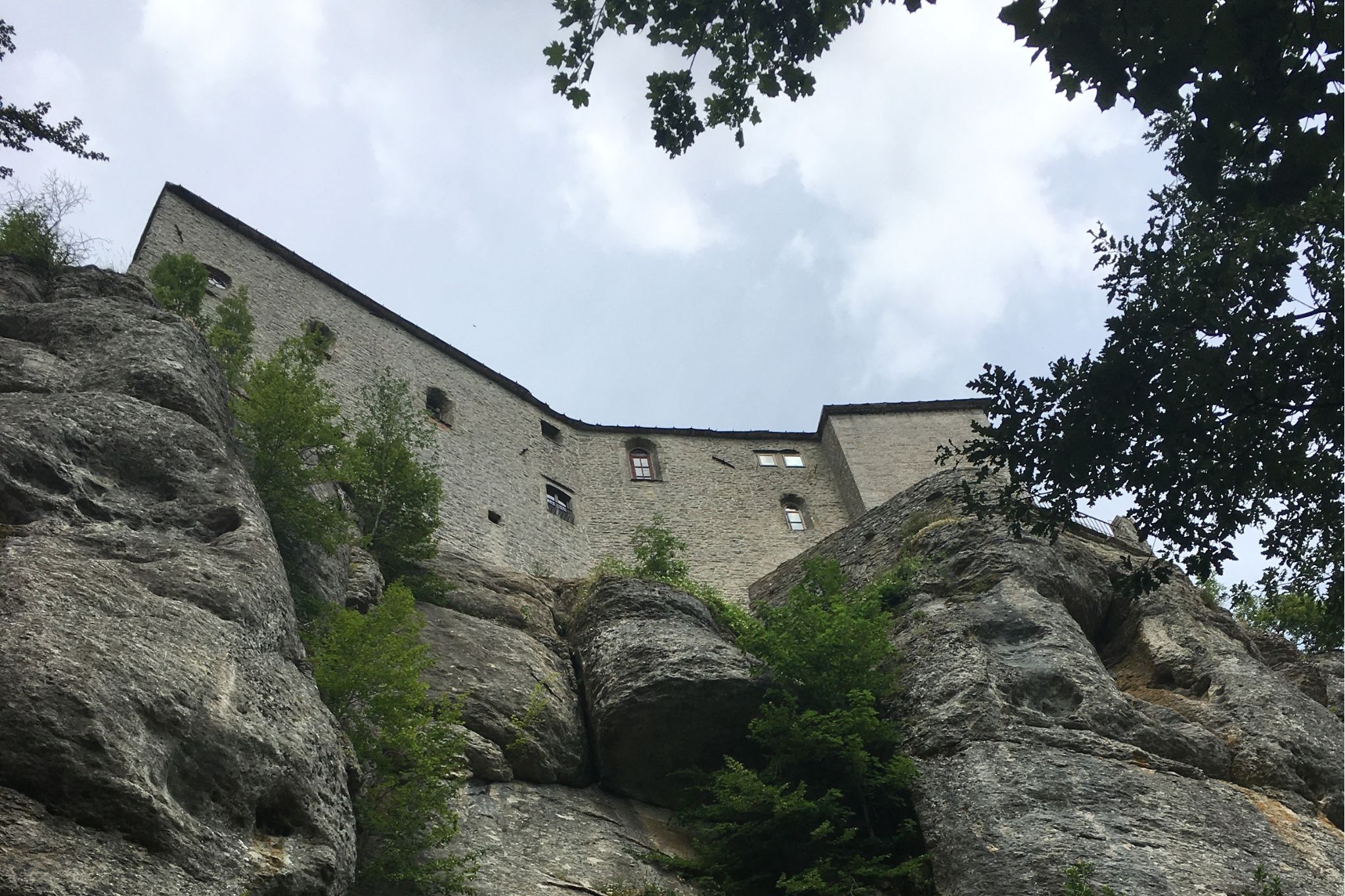 church building surrounded by trees seen from below