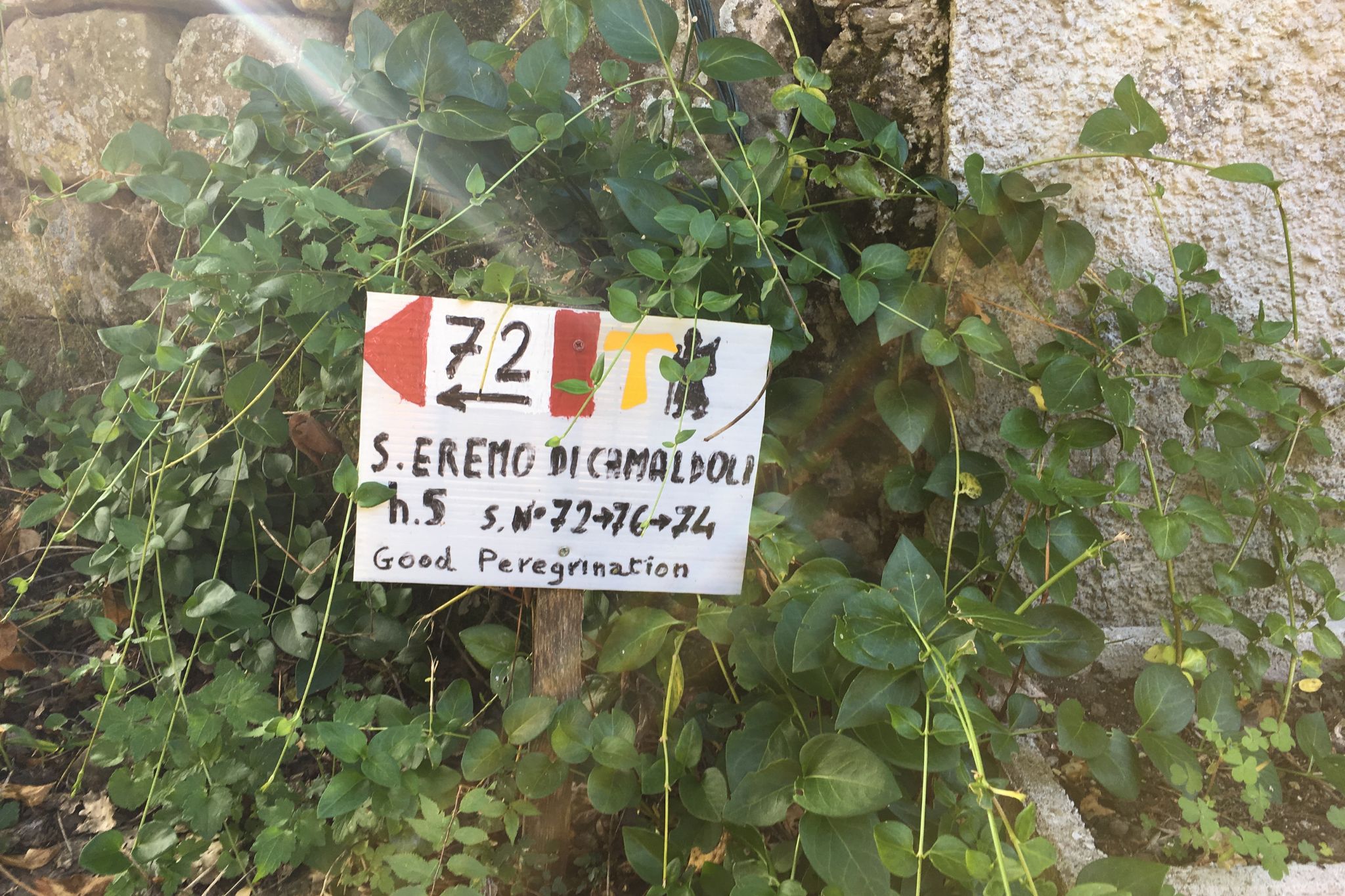 trail sign in bushes