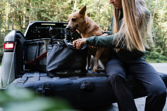 Woman and dog sit on truck bed with tote bag