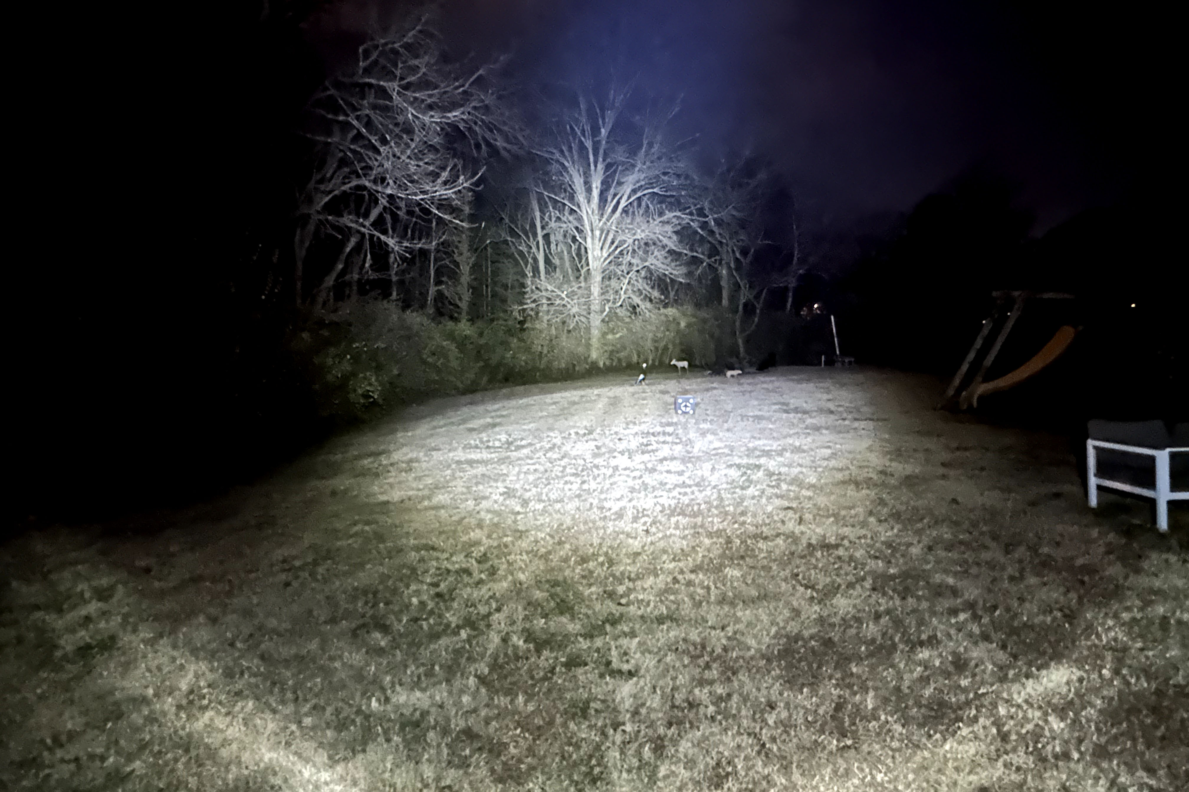 Archery targets in a backyard lit up by a bright light.