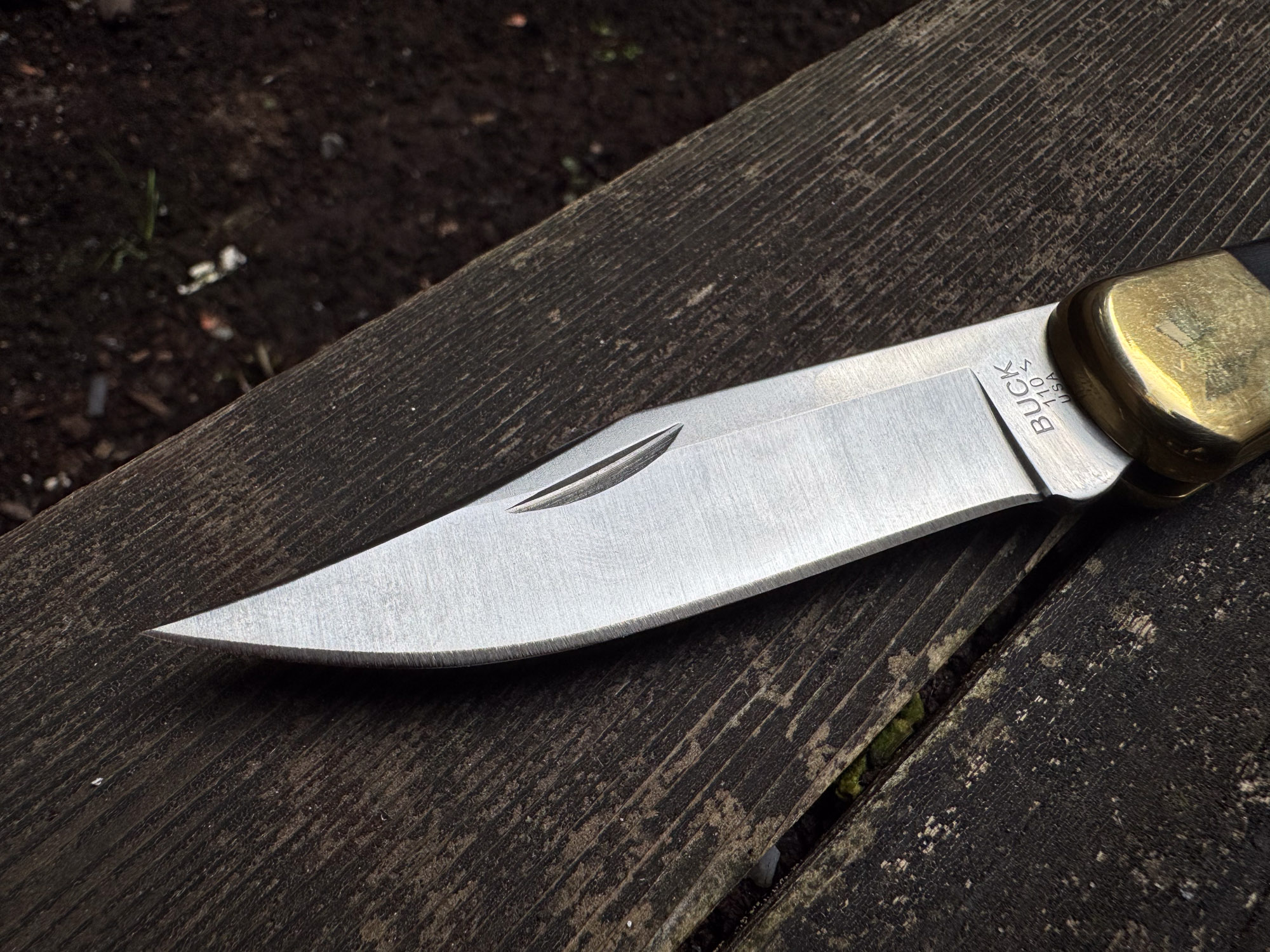 a detail of the buck 110 clip point blade