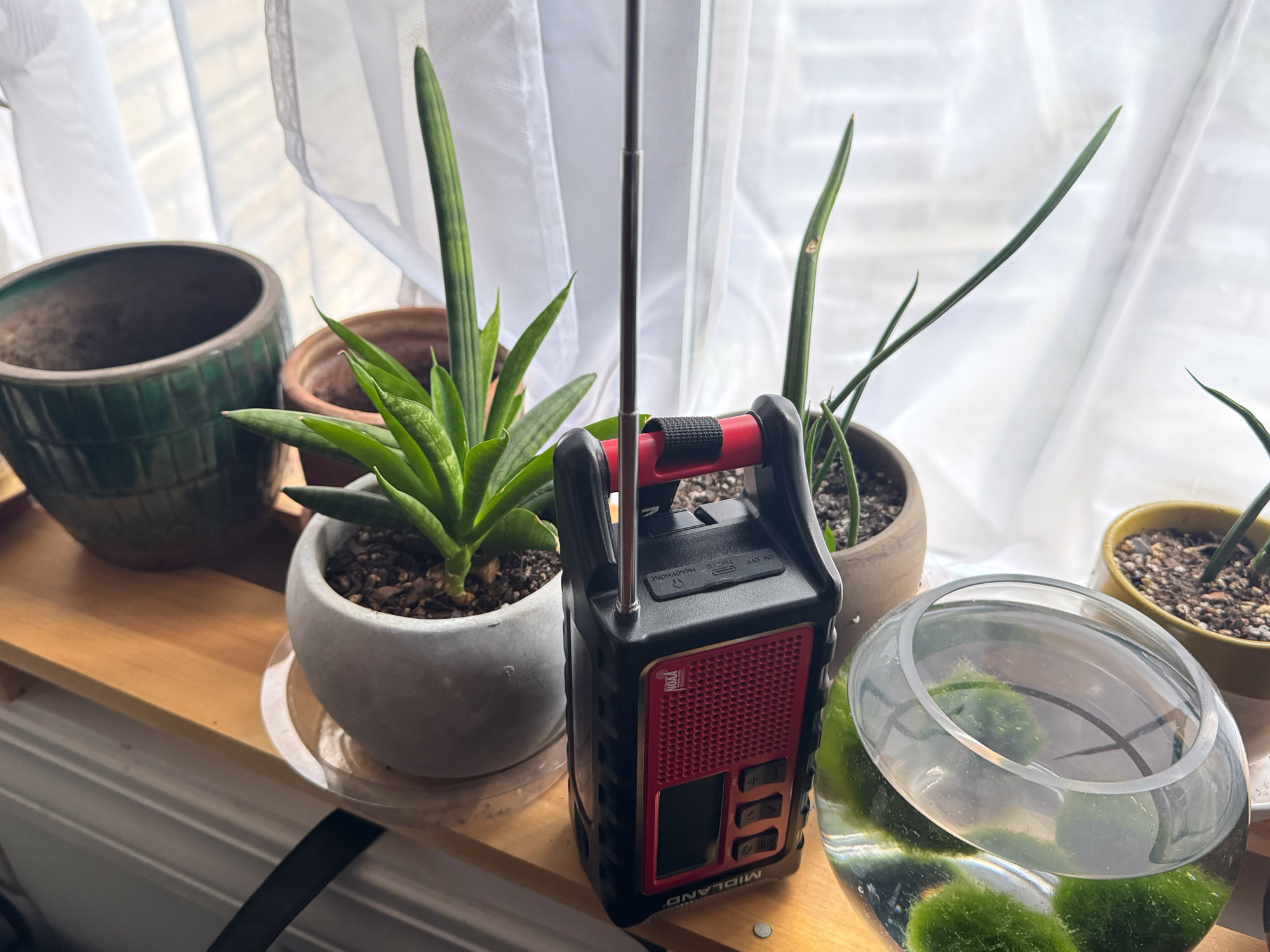 the er310pro radio sits on a shelf indoors among plants
