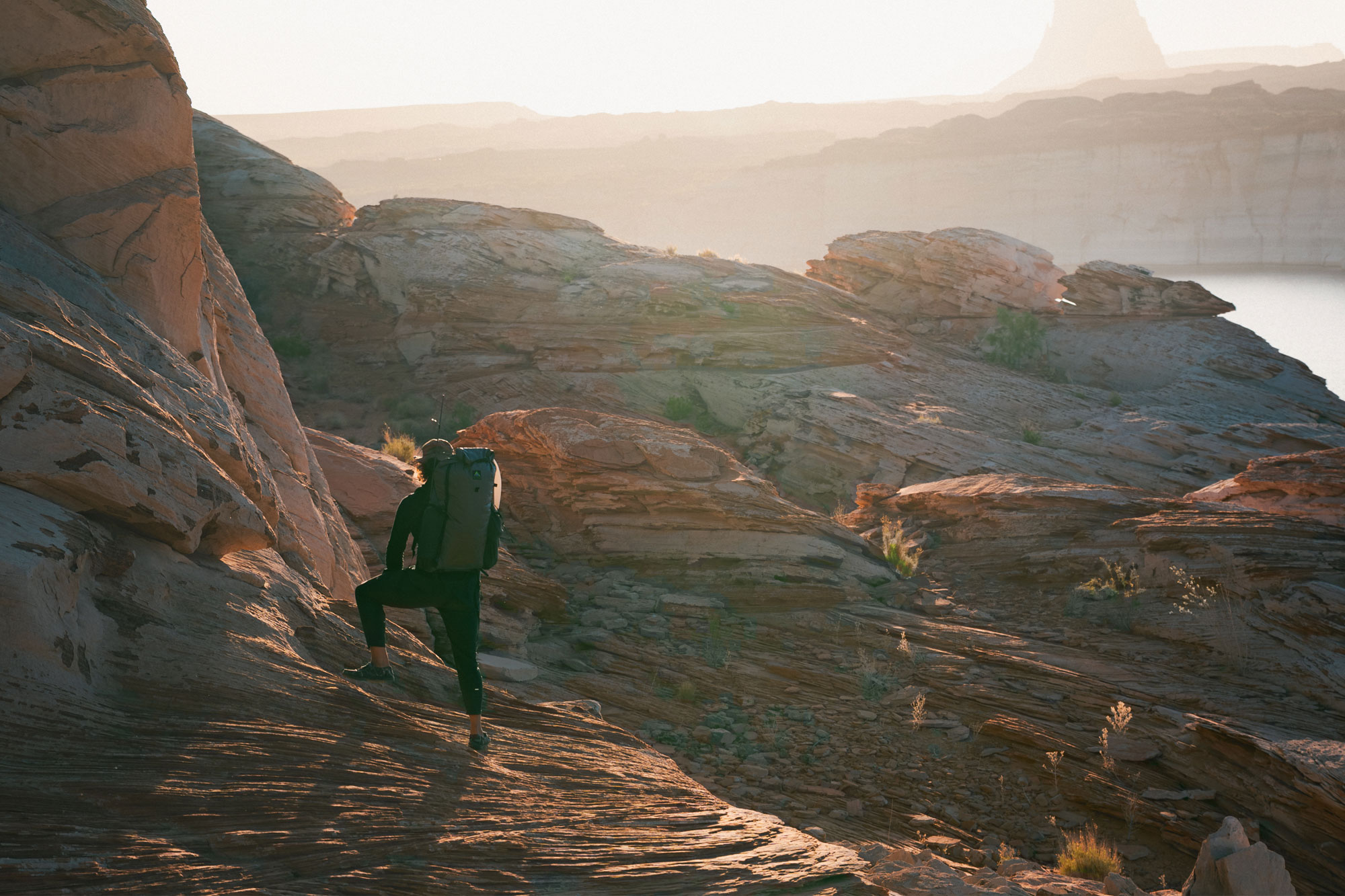 Seek Outside Gosshawk 2.0