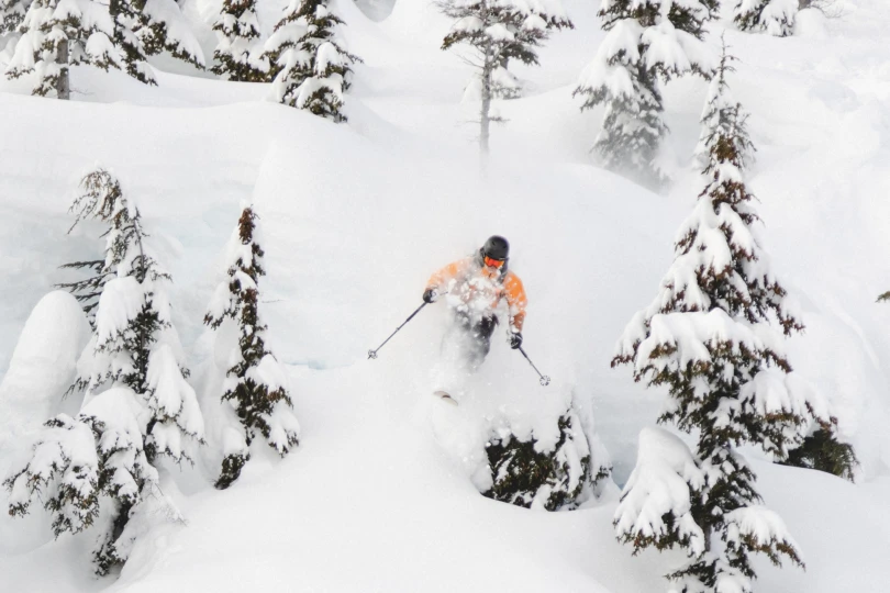 great bear heli skiing women owned operated
