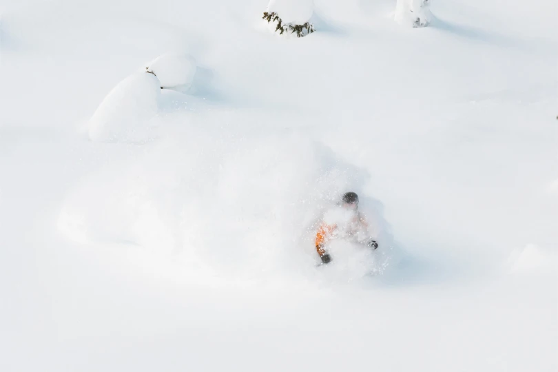 great bear heli skiing women owned operated
