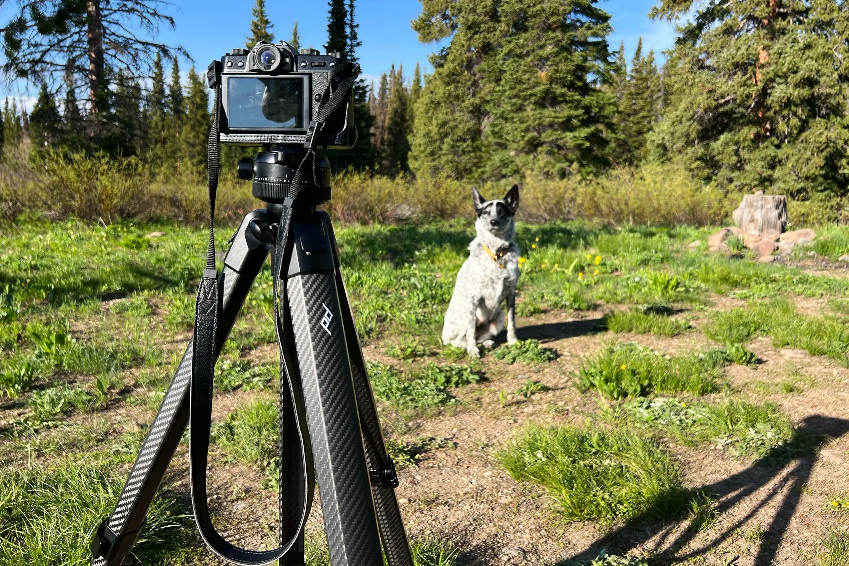PeakDesign Pro Tripod review