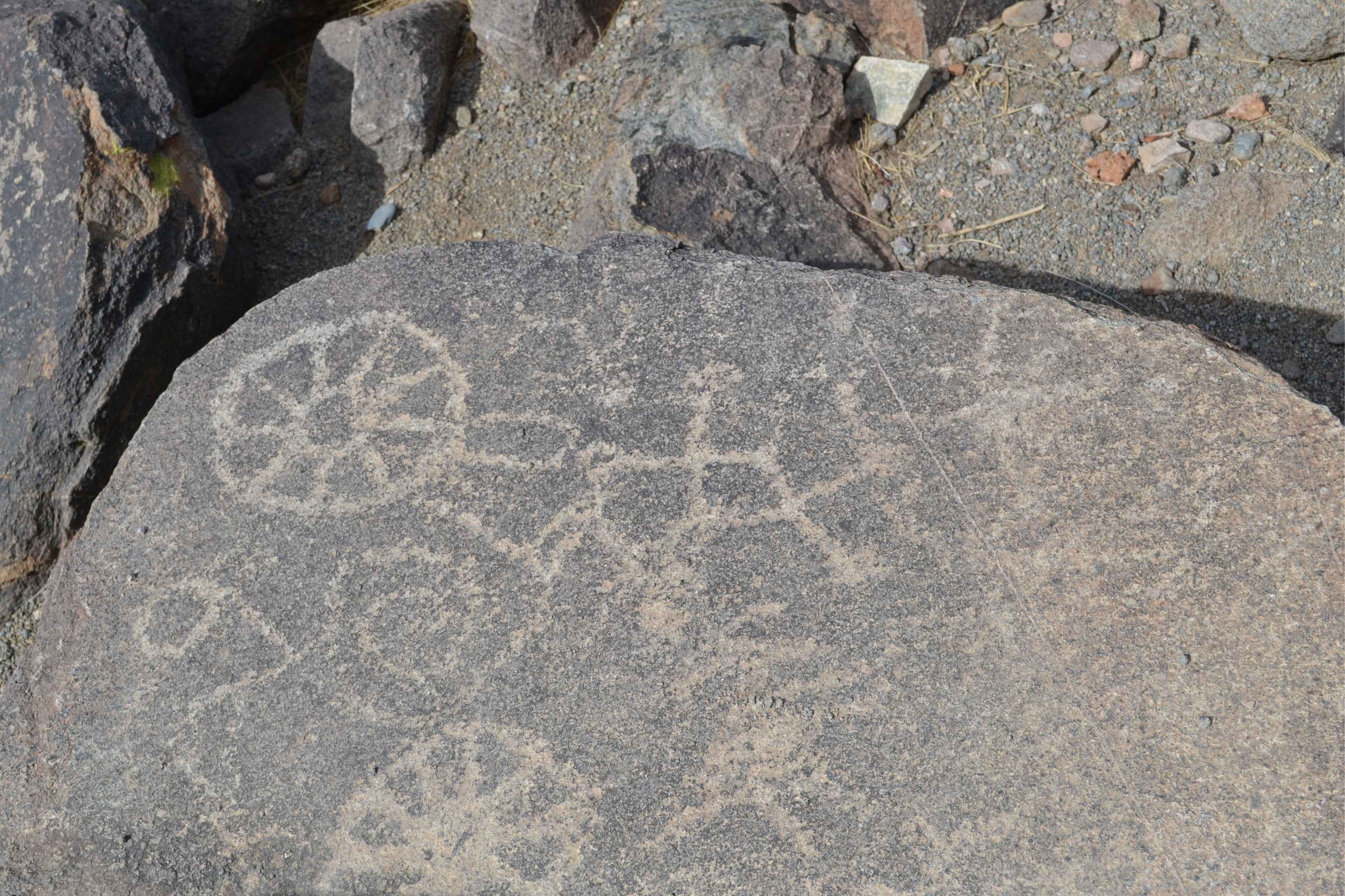 petroglyphs carved into rock
