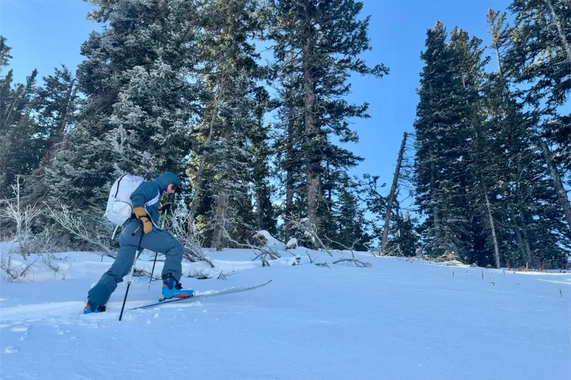 A skier climbs uphill through a snowy forest wearing the blue touring boots
