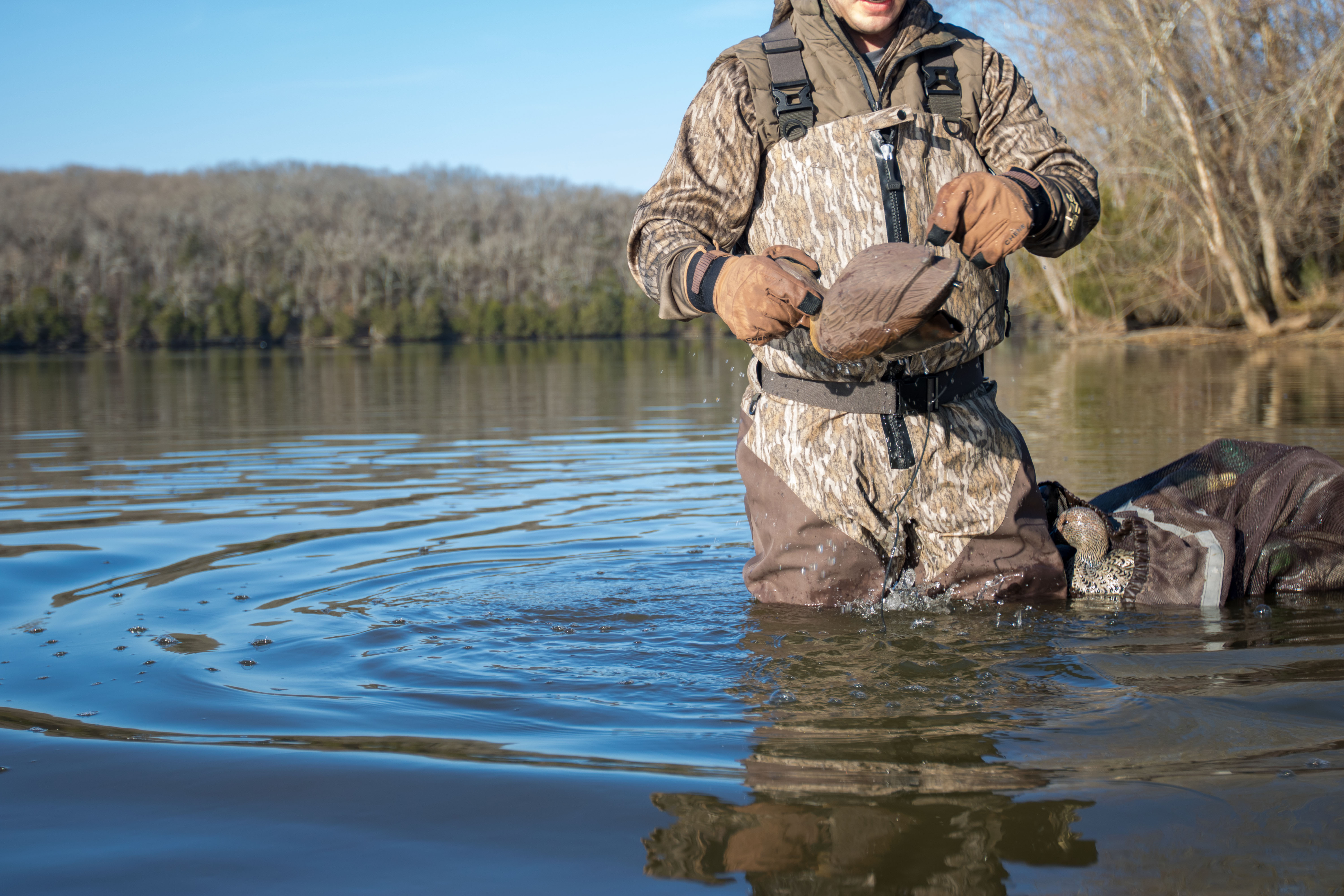 A duck hunter picking up decoys in the water with gloved hands.