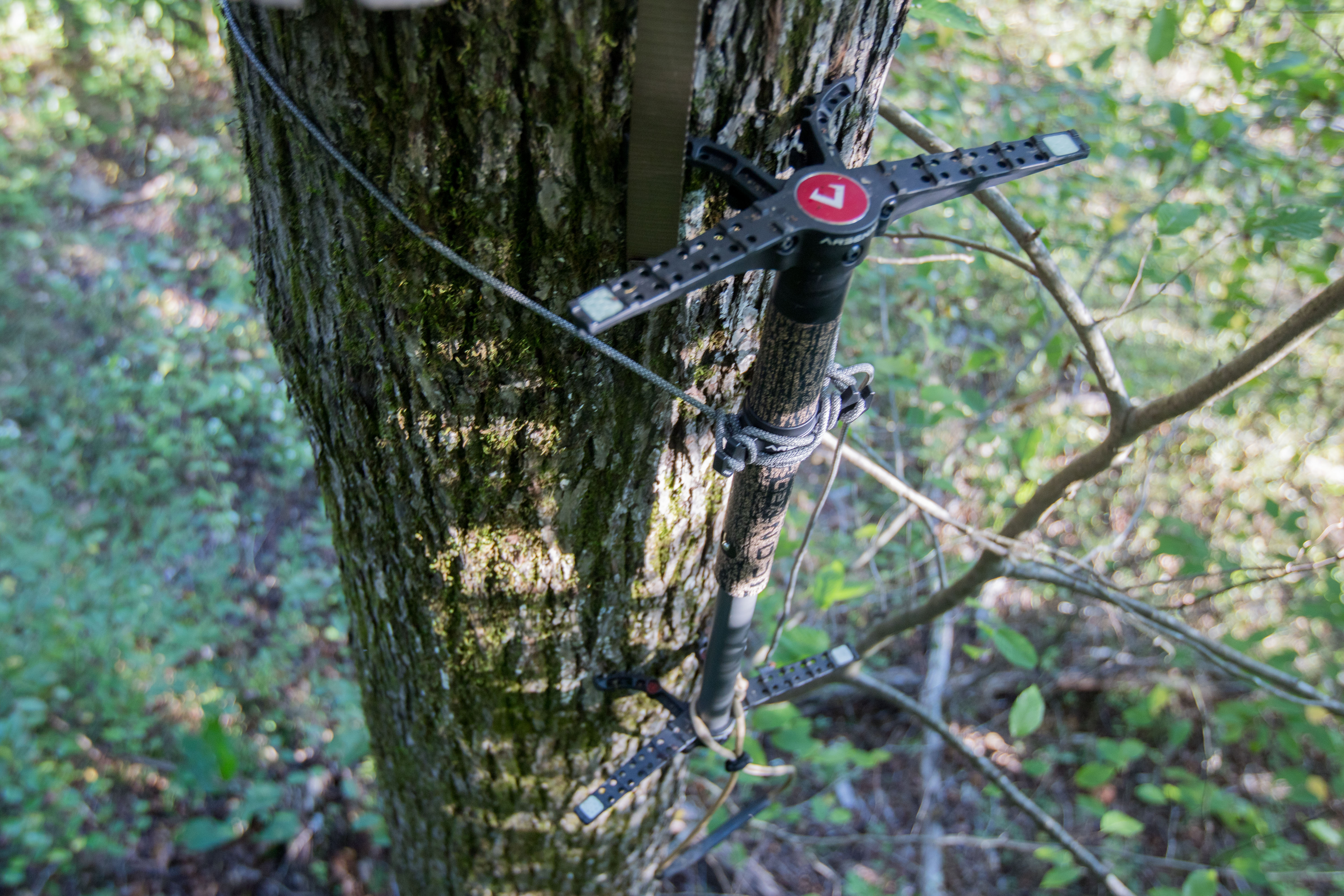 The Hunt Arsenal ICON X20 climbing stick attached to a tree.