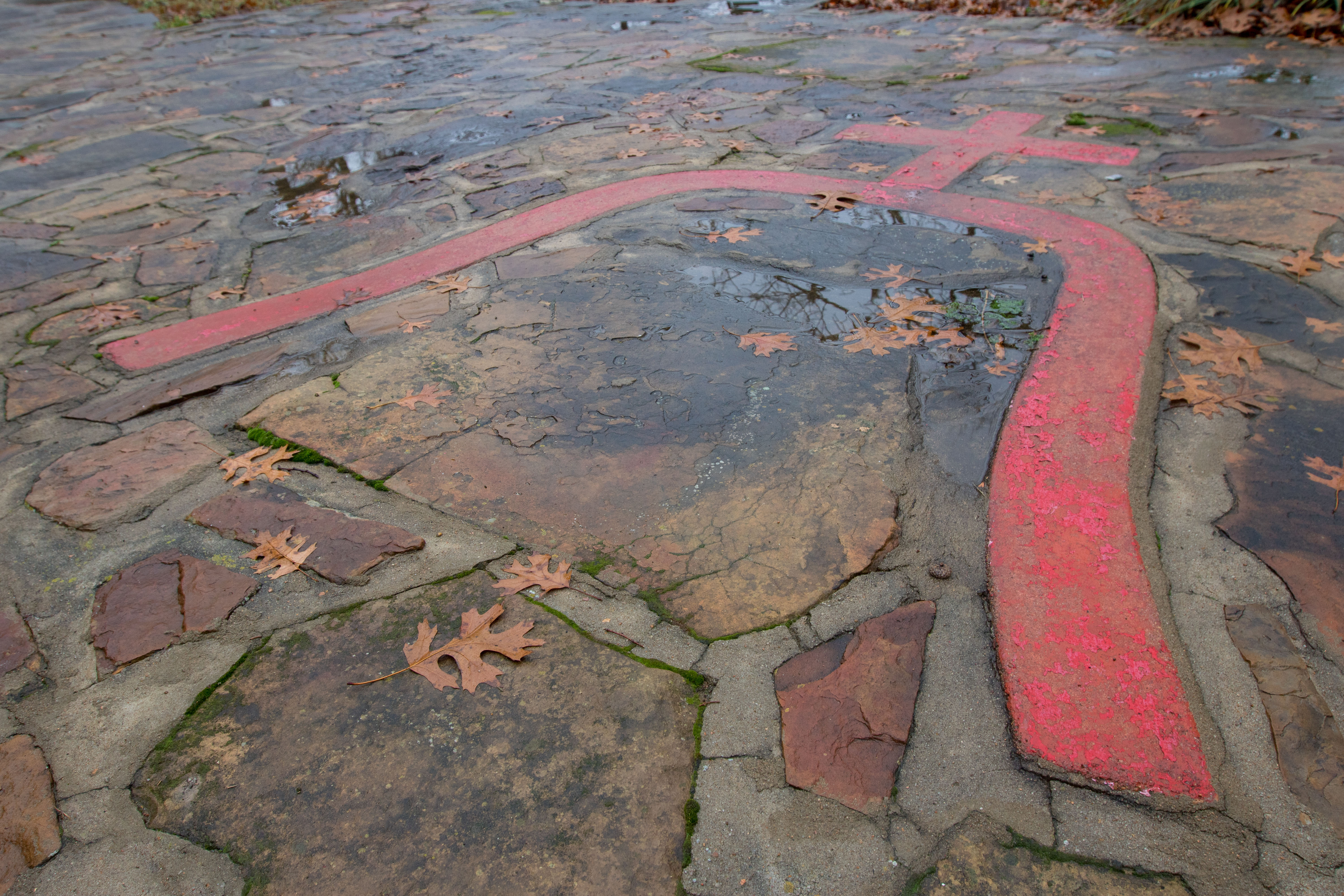 The Cross Bell Ranch logo in the stone entrance of the property, which hosts field to table experiences with Outdoor Solutions