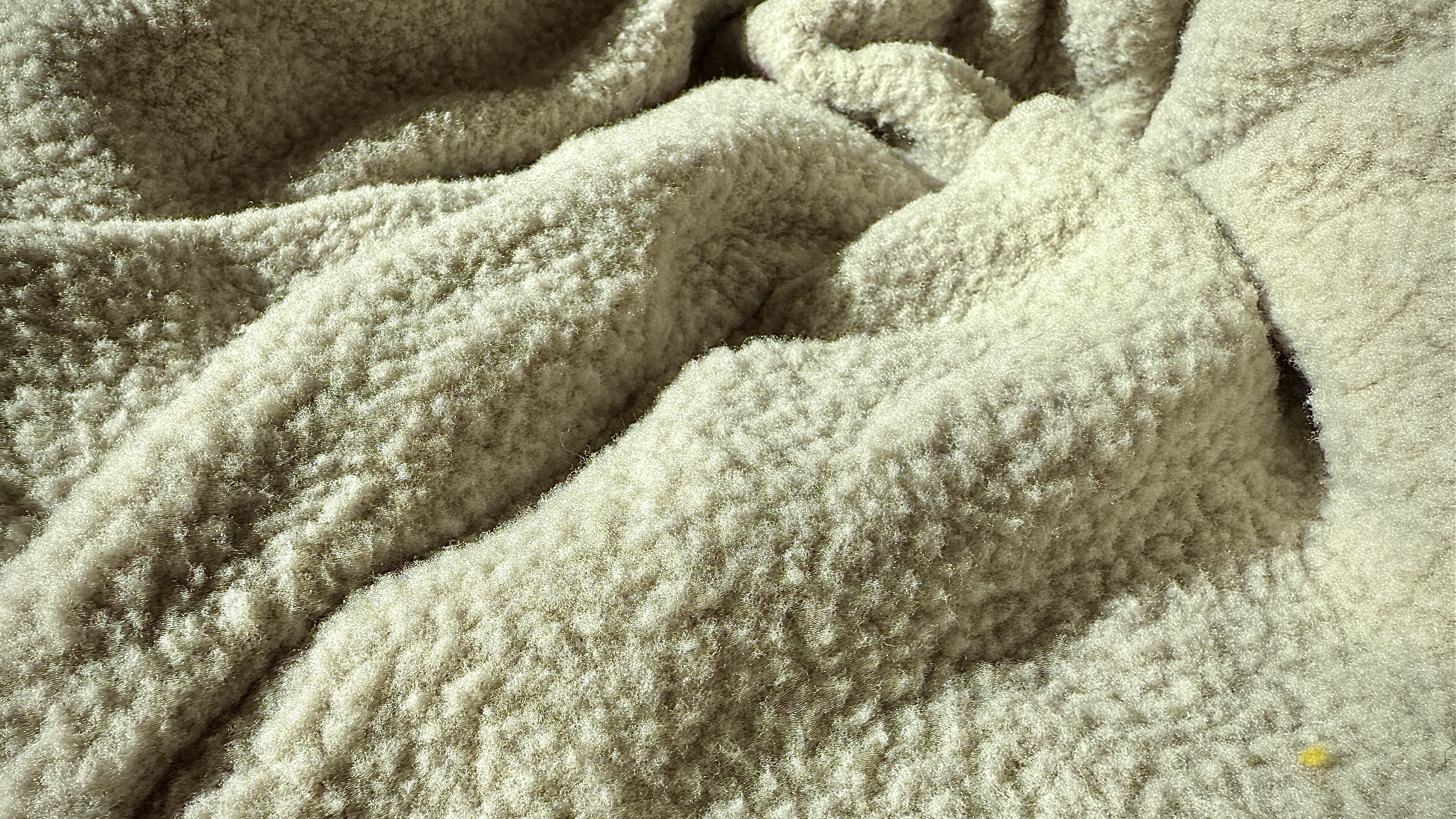 REI Campwell Down Parka