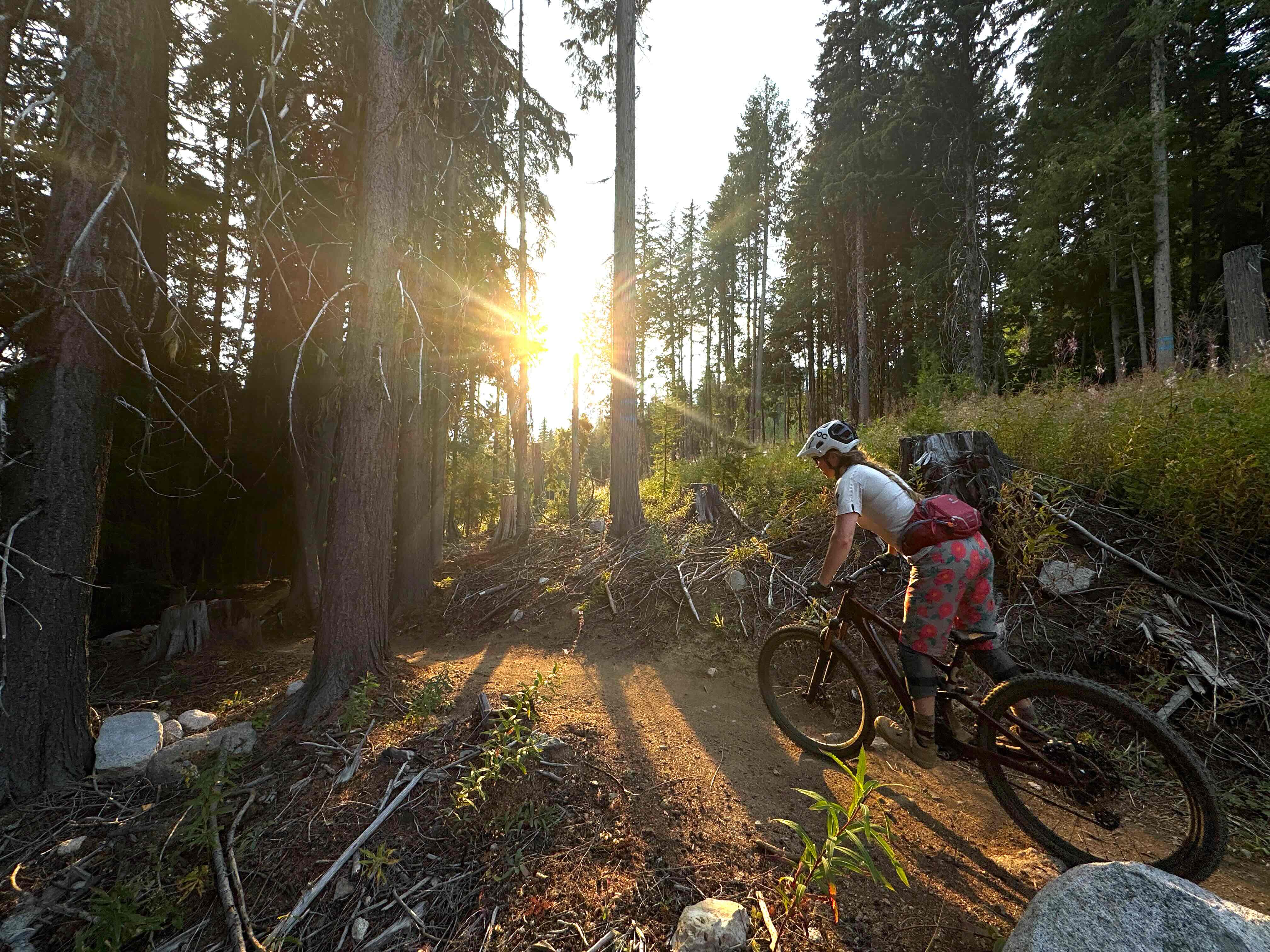 Specialized Turbo Levo SL 2 Pro e-MTB; (photo/Dane Tudor)