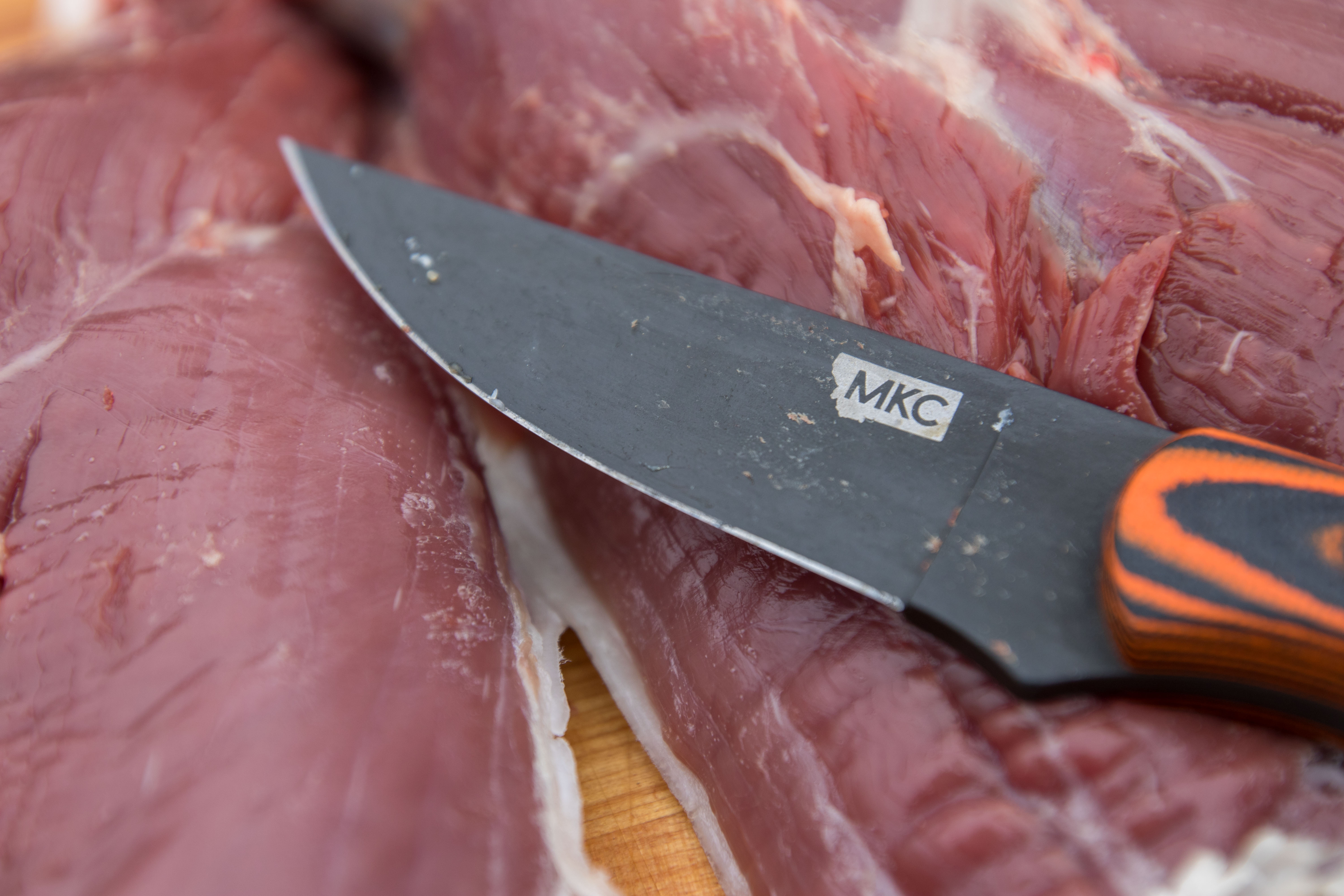 The Montana Knife Company Blackfoot 2.0 Blade resting on meat.
