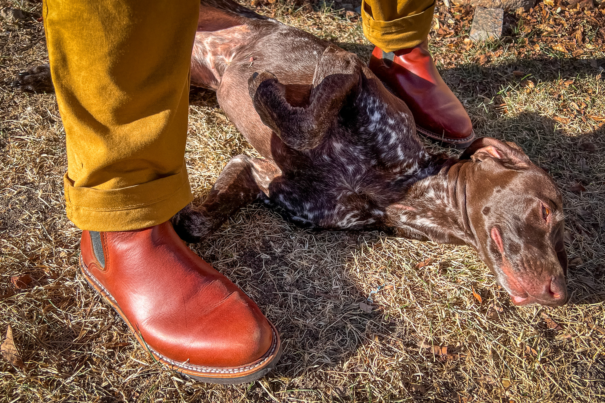 Origin Statesman Chelsea Boots review